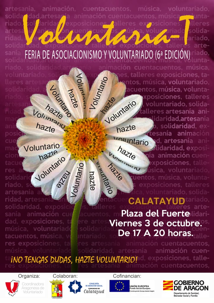 voluntaria-t14-110914-copia